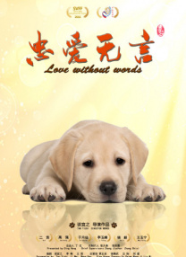 欧美福利精品福利视频在线观看